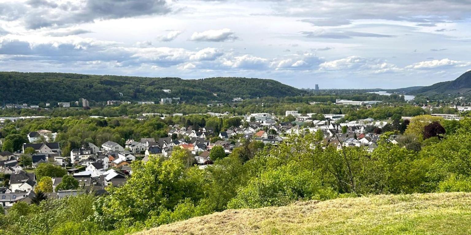Ferienwohnung Wohnen im Weinberg Rheinbreitbach Exterior foto